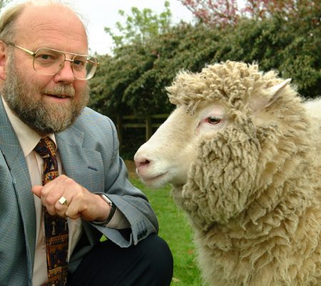 Dolly the sheep