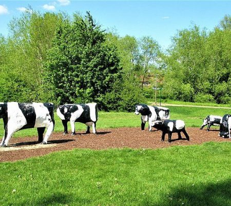 The concrete cows of Milton Keynes