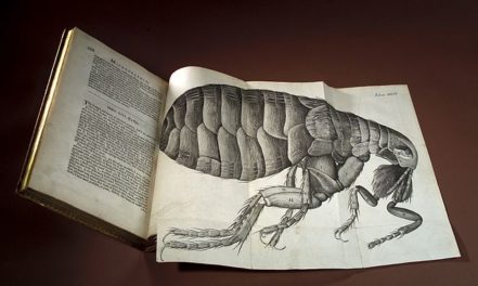 Robert Hooke