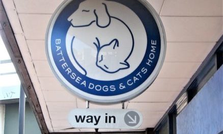 Battersea Dogs Home