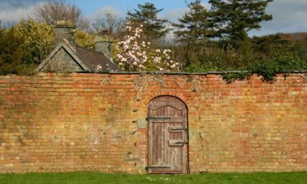 Garden-themed literature