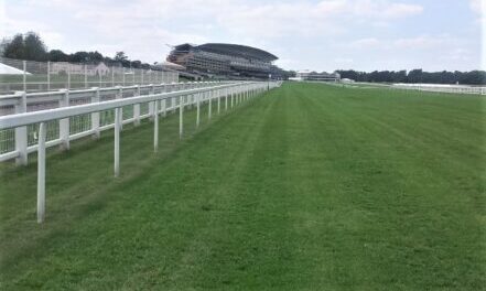 Royal Ascot