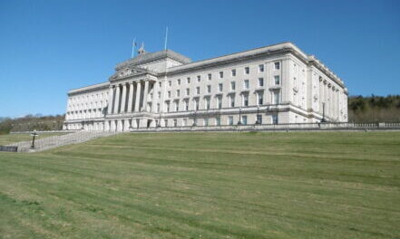 The Northern Ireland Assembly