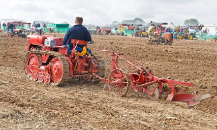 Plough Monday/Sunday