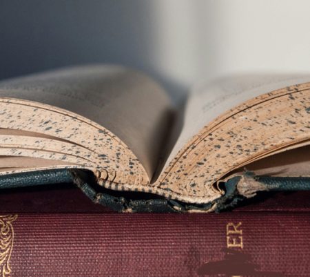 The British Constitution