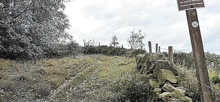 Bridleways and Footpaths